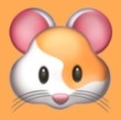 亚洲金品视频APP应用